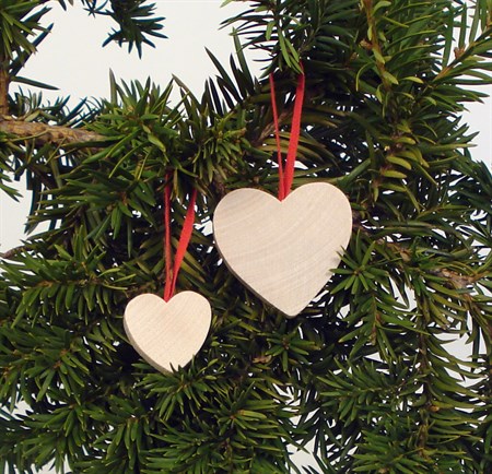 Hjärta natur med rött band.